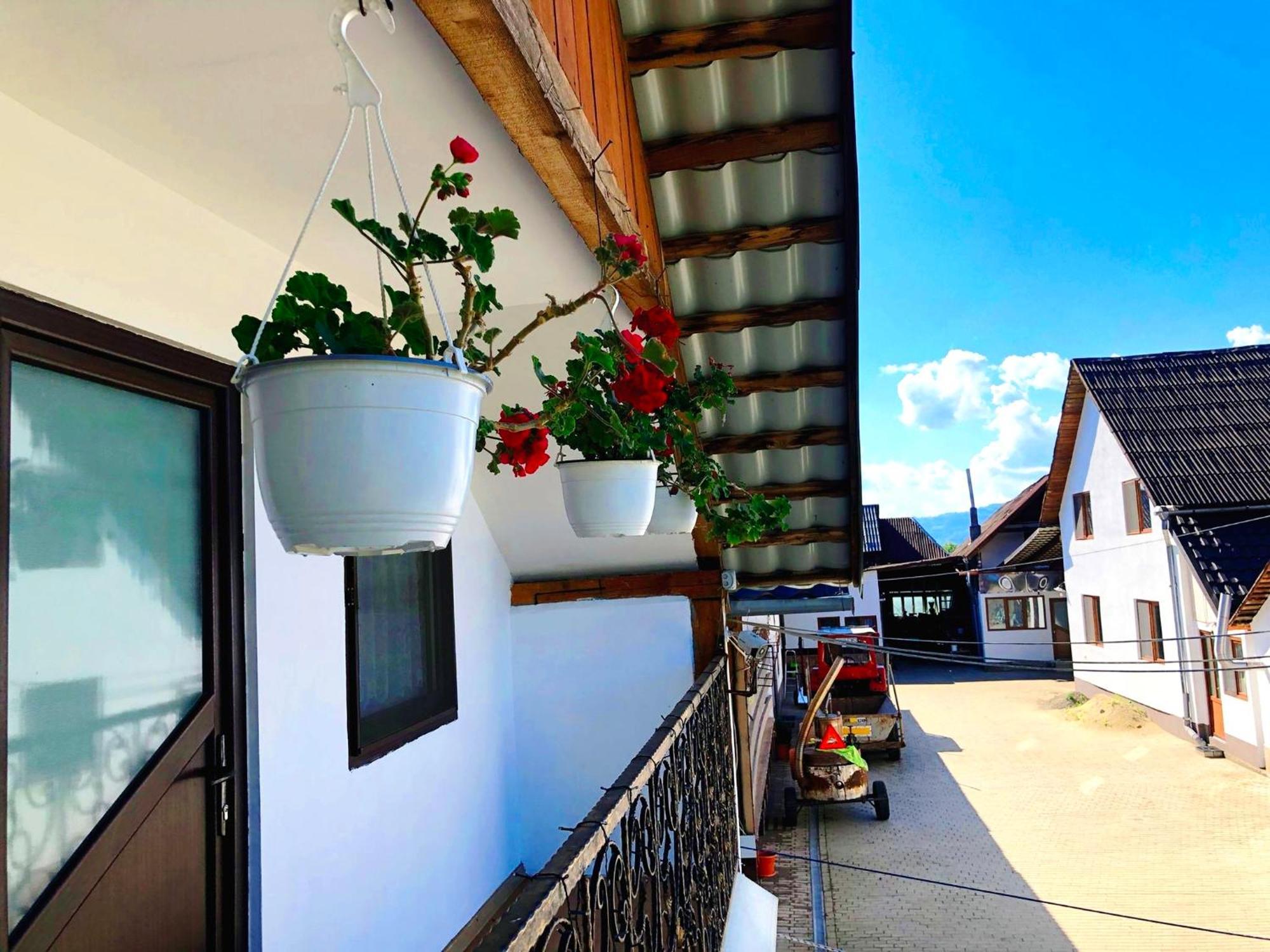 ホテル Casa Paul Vişeu de Sus エクステリア 写真
