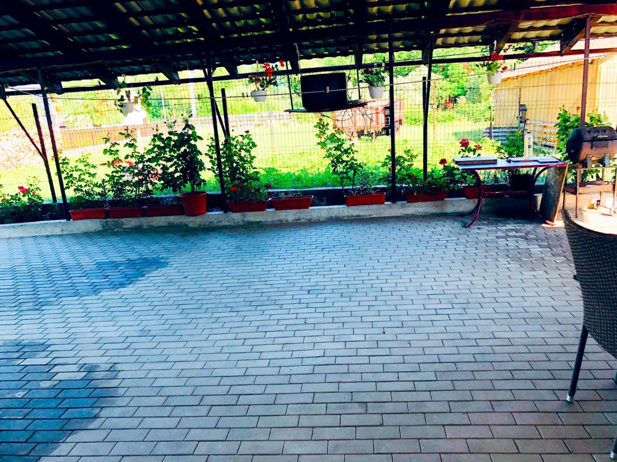 ホテル Casa Paul Vişeu de Sus エクステリア 写真