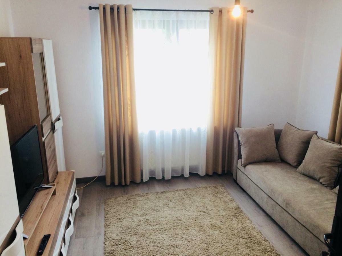 ホテル Casa Paul Vişeu de Sus エクステリア 写真