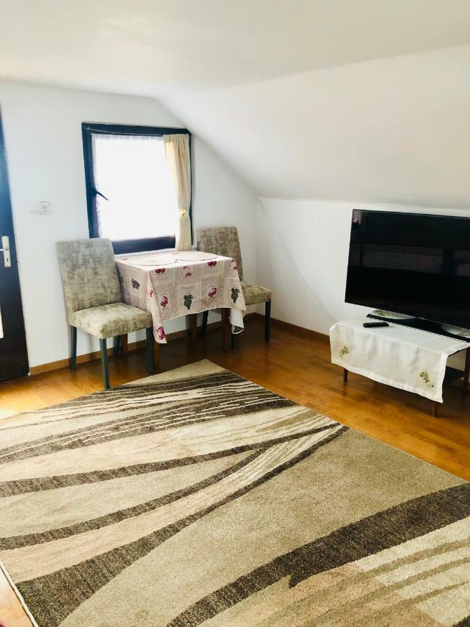 ホテル Casa Paul Vişeu de Sus エクステリア 写真