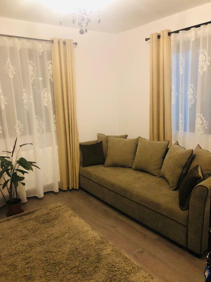 ホテル Casa Paul Vişeu de Sus エクステリア 写真