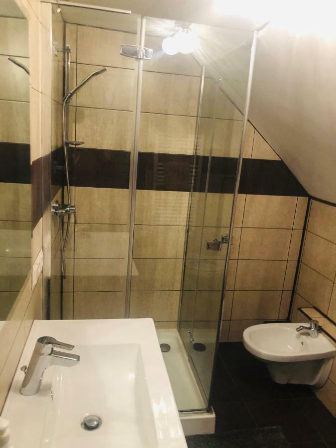 ホテル Casa Paul Vişeu de Sus エクステリア 写真